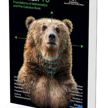 Foundations of Mathematics and Pre-Calculus Mathematics Grade 10 Book