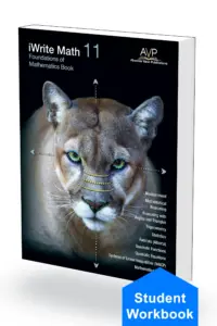 Foundations of Mathematics 11 Book