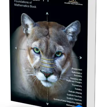 Foundations of Mathematics 11 Book