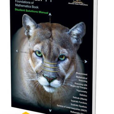 Foundations of Mathematics 11 Student Solutions Manual