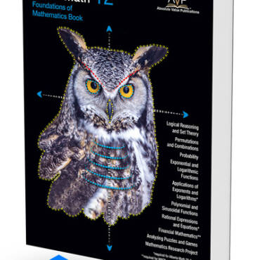 Foundations of Mathematics 12 Book