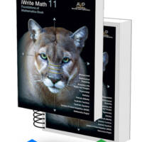 T S Bundle 11 Foundations