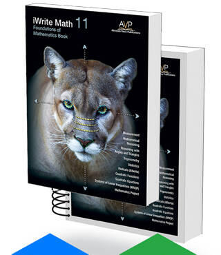 T S Bundle 11 Foundations